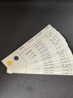 Testy do sterylizacji / autoklawy klasa 6 (VI)